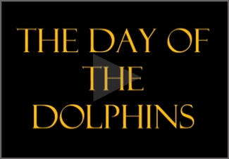 frontimagefordolphins